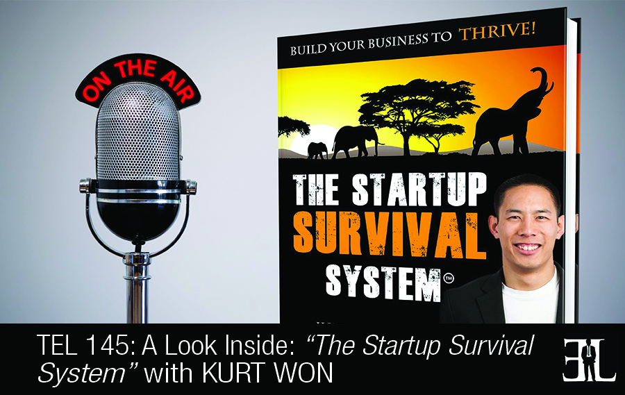 The Startup Survival System